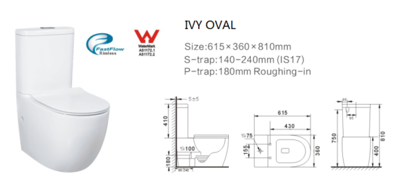 IVY OWEL - Image 5