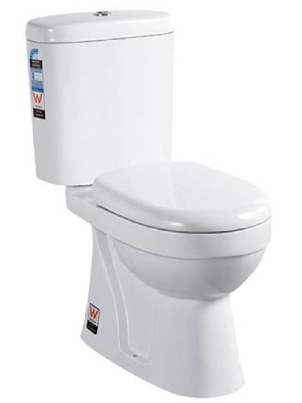 Washdown  Two Piece Toilet-P Trap - Image 2